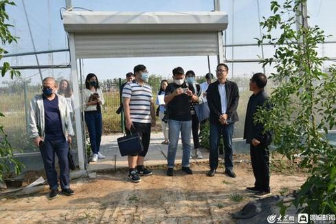 奋力走在前 争当排头兵丨深耕“枣”产业10余年 德州乐陵三产融合拾级而上