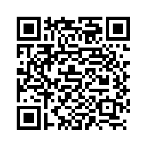 国网泰安供电公司:“能带不停”筑牢电网安全防线-新华网