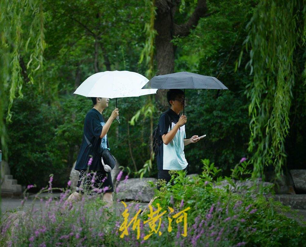 雨中漫步大明湖，秒入江南