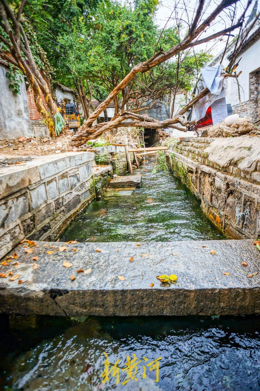 济南老城区泉水院落修缮，深藏房屋底下河道露全貌