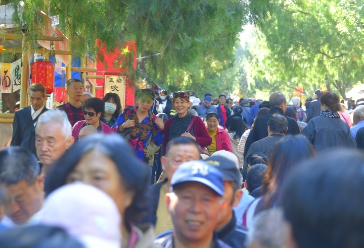 千佛山上“人从众”,重阳节山会人气爆棚