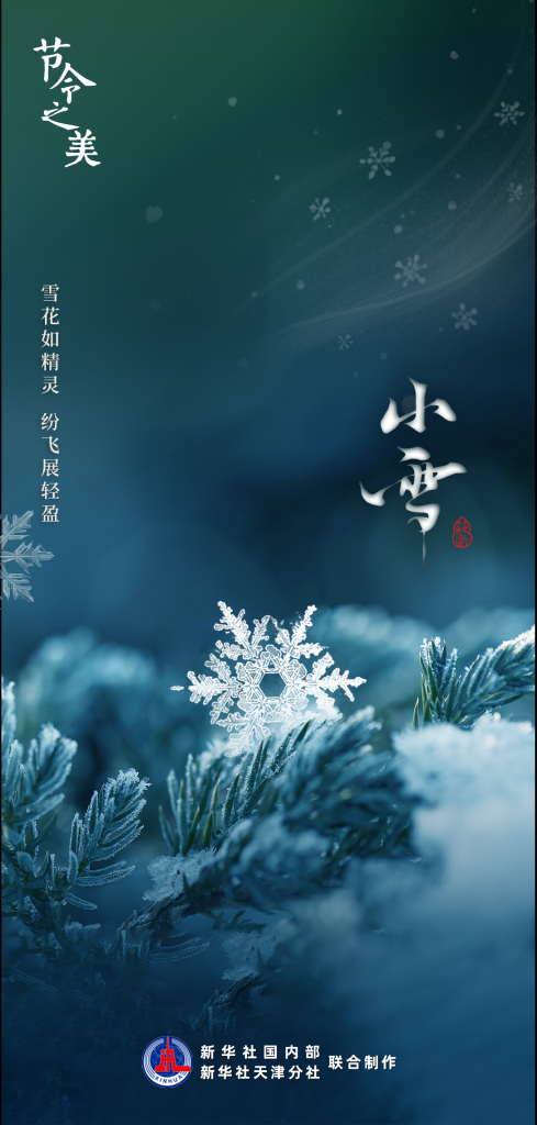 节令之美·小雪｜期待一场落雪吧！