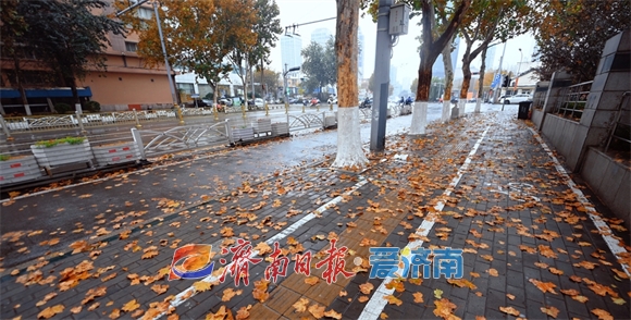 冬雨绵绵落叶翩翩 细雨朦胧中泉城展现别样之美