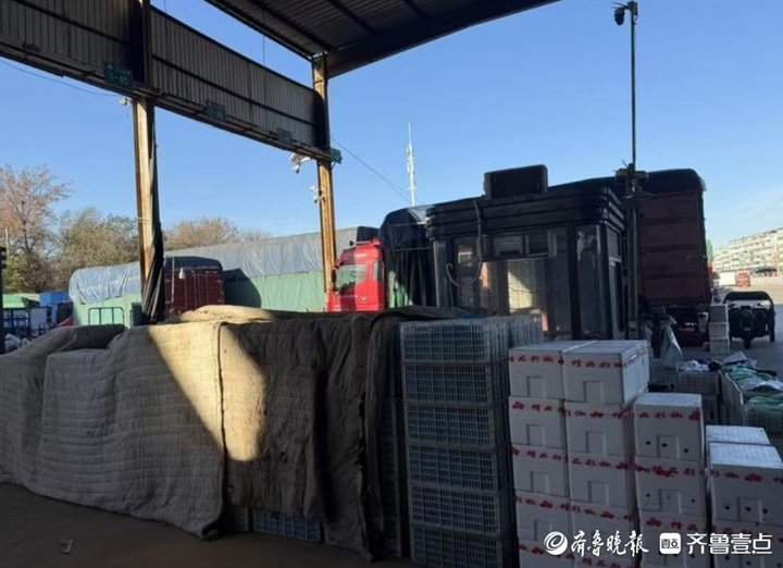 濟南菜價遇“冷”後漸走高