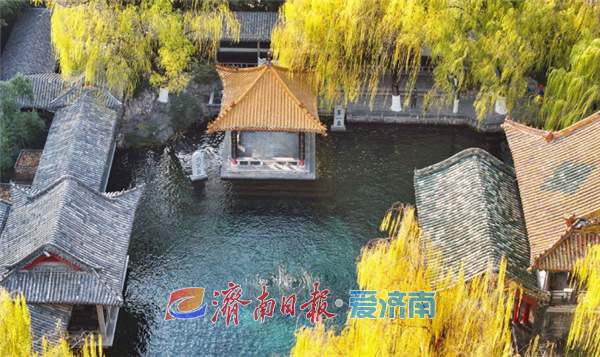 泉水泉韻！看冬日裏泉城的斑斕畫卷