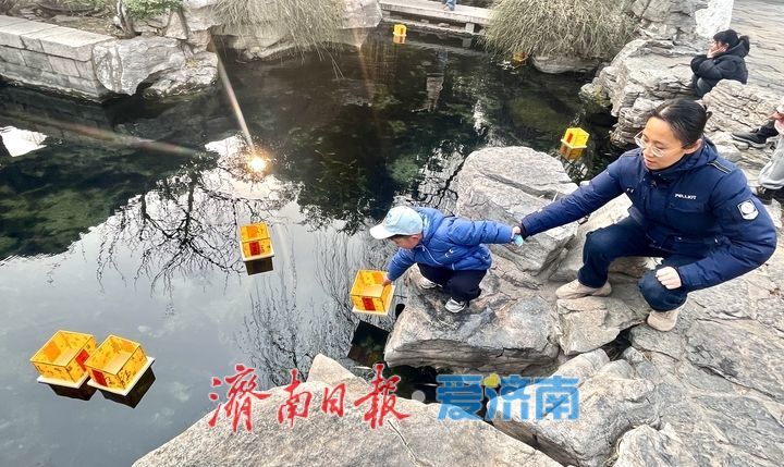 “泉”在济南过大年|五龙潭首推迎新春河灯祈福活动,吸引游客排队参与