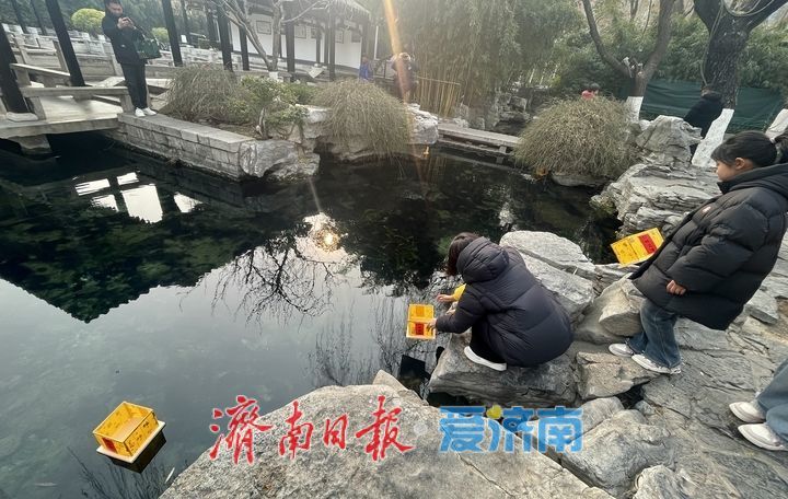 “泉”在济南过大年|五龙潭首推迎新春河灯祈福活动,吸引游客排队参与