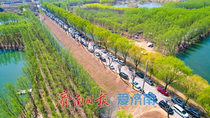 春游正当时！济南睦里闸变身野炊圣地
