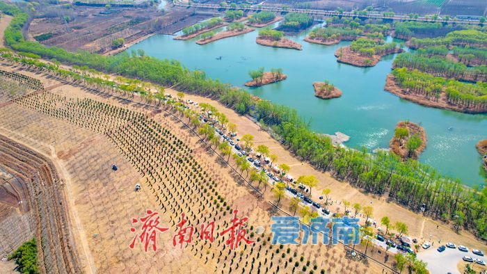 春游正当时！济南睦里闸变身野炊圣地