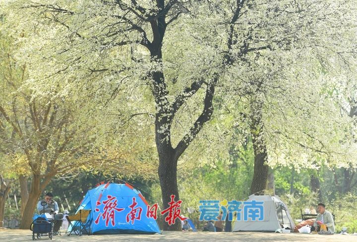泉城芳菲四月天，漫享春日好时光