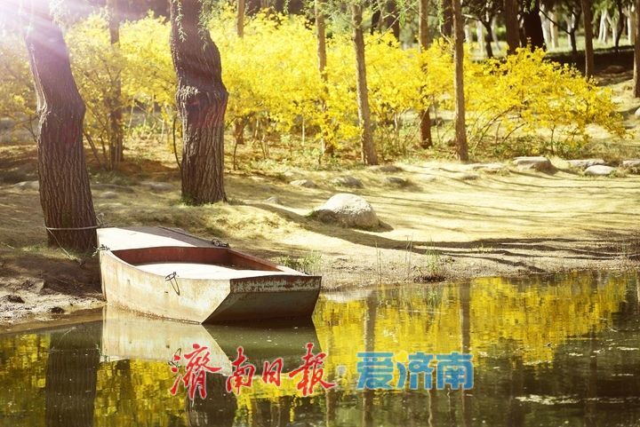 泉城芳菲四月天，漫享春日好时光