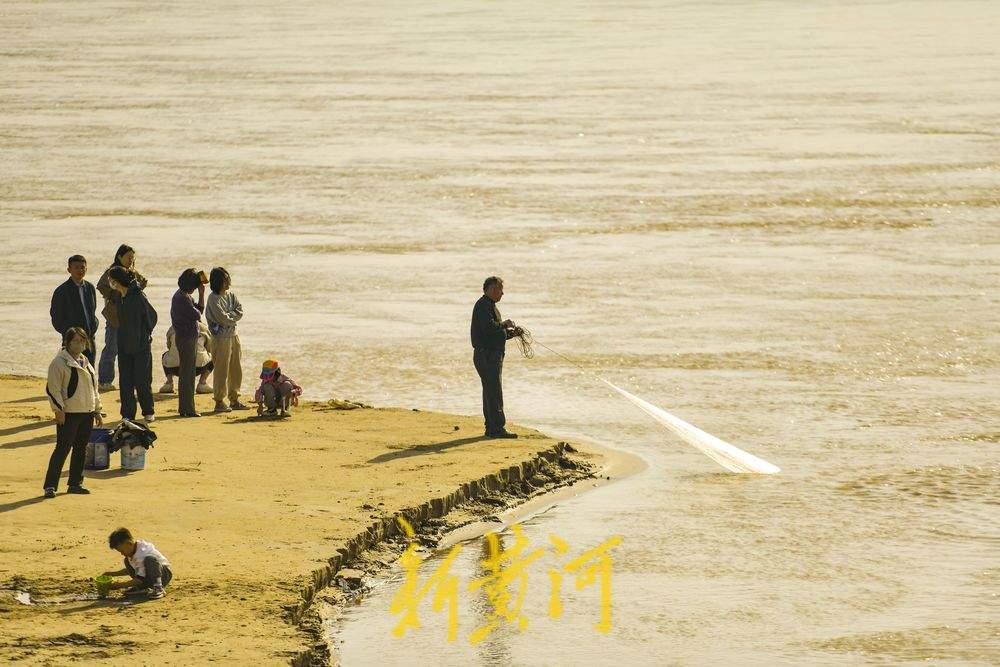 观落日看捕鱼 黄河岸边感受生态之美