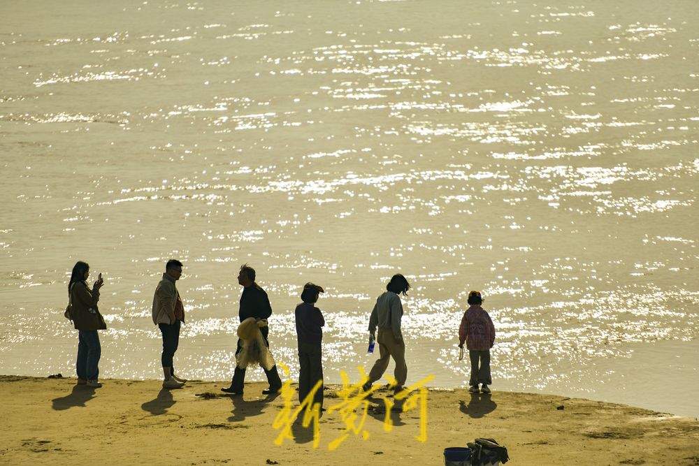 观落日看捕鱼 黄河岸边感受生态之美