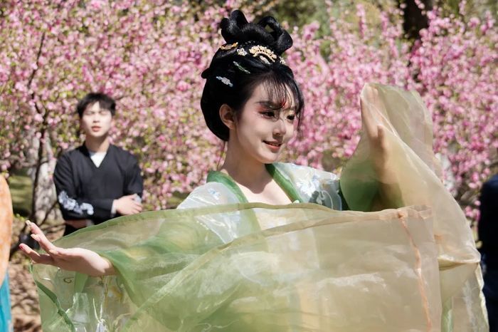 济南植物园花仙子游园会邀您共赴“花与国风”之约