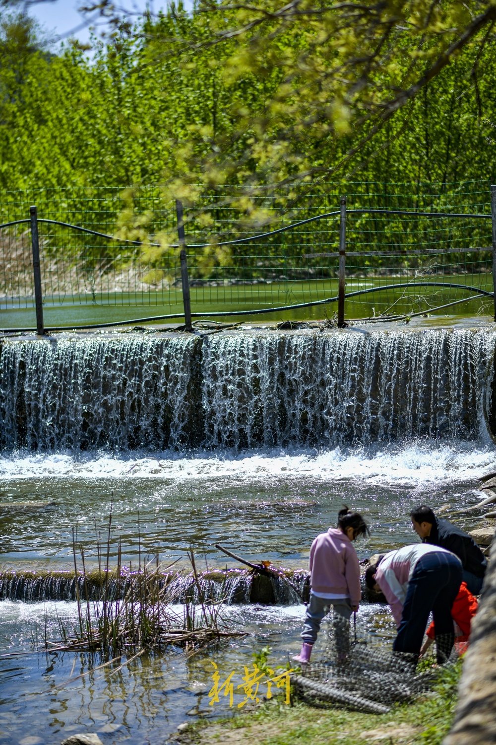 四季清水长流,济南大辛河源头成网红景点