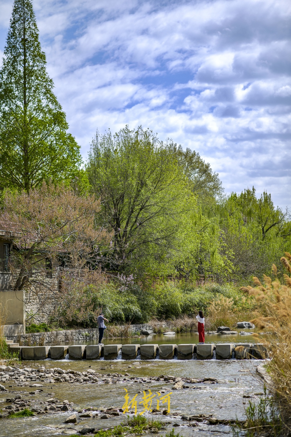 四季清水长流,济南大辛河源头成网红景点