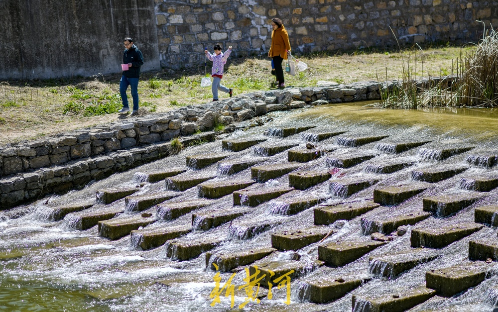 四季清水长流,济南大辛河源头成网红景点