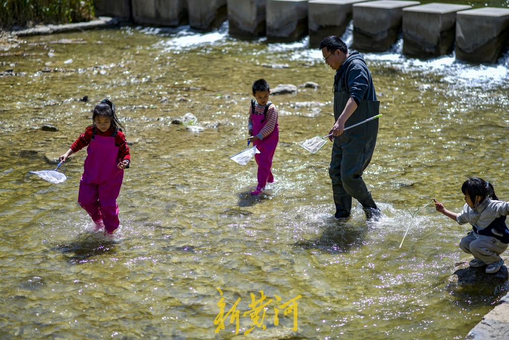 四季清水长流,济南大辛河源头成网红景点
