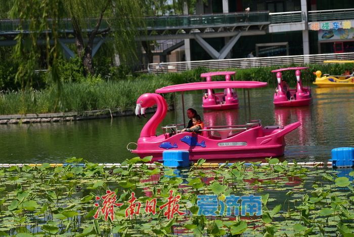 一年四季 泉在济南丨初夏泛舟，市民乐享“水上时光”