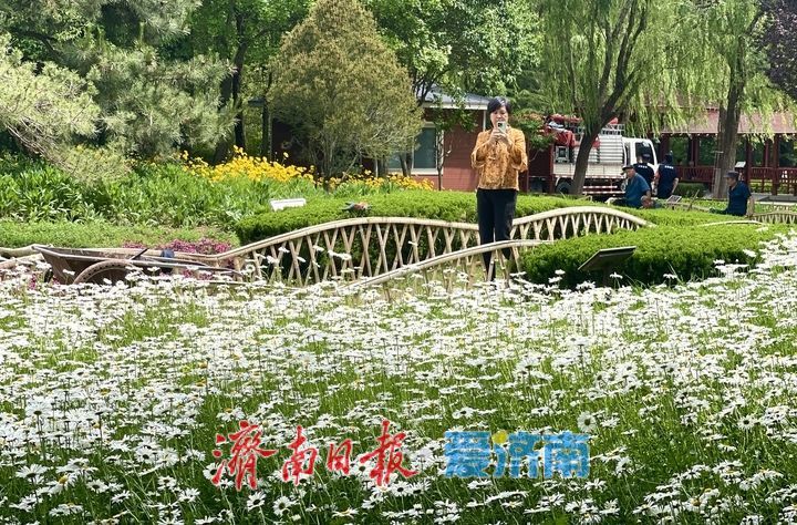 泉城五月花事浓!济南花圃公园化身“天然调色盘”