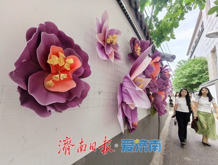 一年四季 泉在济南丨“花开满墙”，济南老街新添亮眼风景线