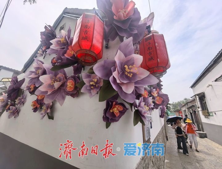 一年四季 泉在济南丨“花开满墙”，济南老街新添亮眼风景线