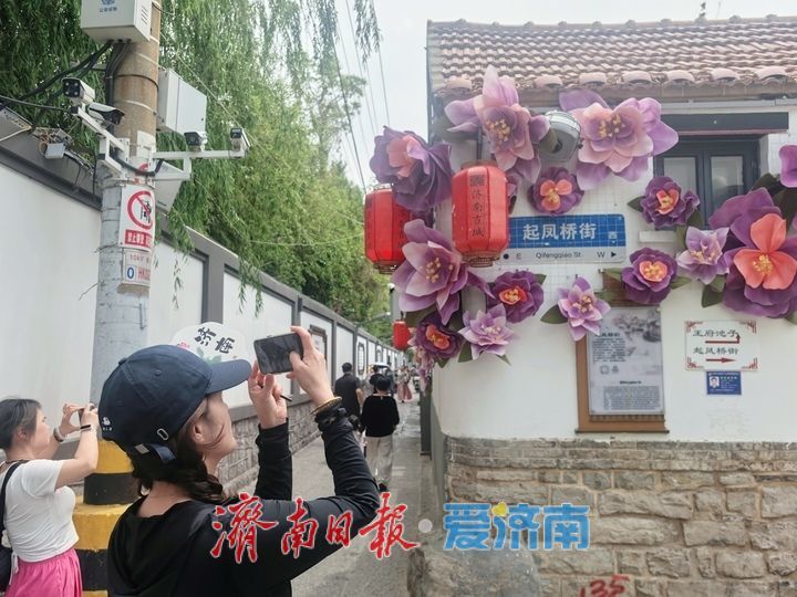 一年四季 泉在济南丨“花开满墙”，济南老街新添亮眼风景线