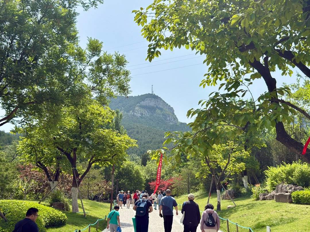 人头攒动,佛慧山公园成热门“打卡地”