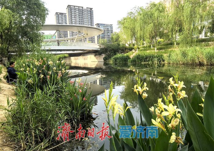 一年四季 泉在济南丨漫步、垂钓、赏景!腊山河畔邂逅初夏美好时光