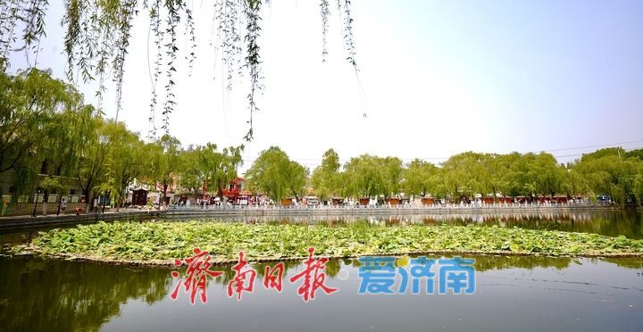 一年四季 泉在济南丨暑意渐浓游兴盛,古韵老街“热”力全开,端午小长假预热正当时
