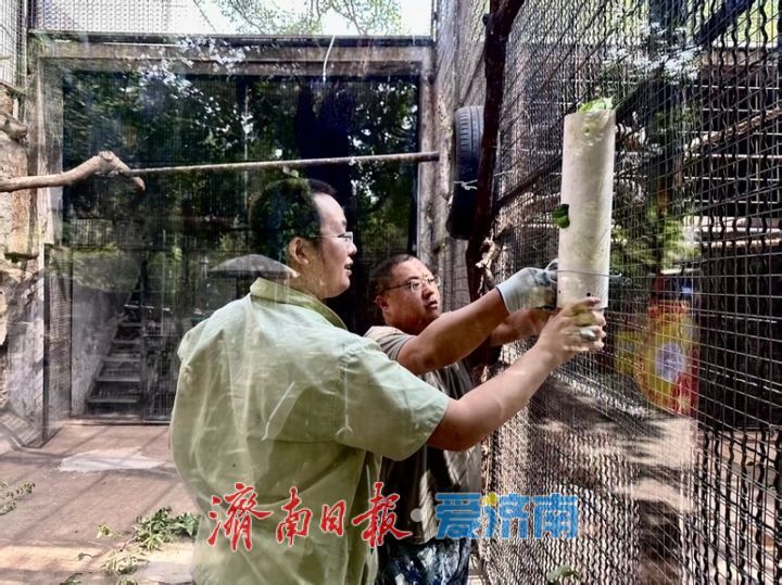 一年四季 泉在济南|济南动物园开启动物“益智食光”