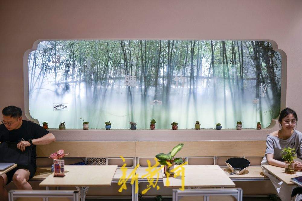 听竹声轻吟,济南百年公园再添新风景