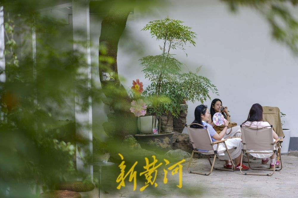 听竹声轻吟,济南百年公园再添新风景