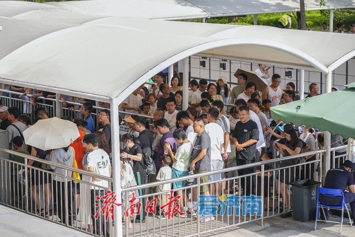 山东博物馆暑期客流攀升，再现