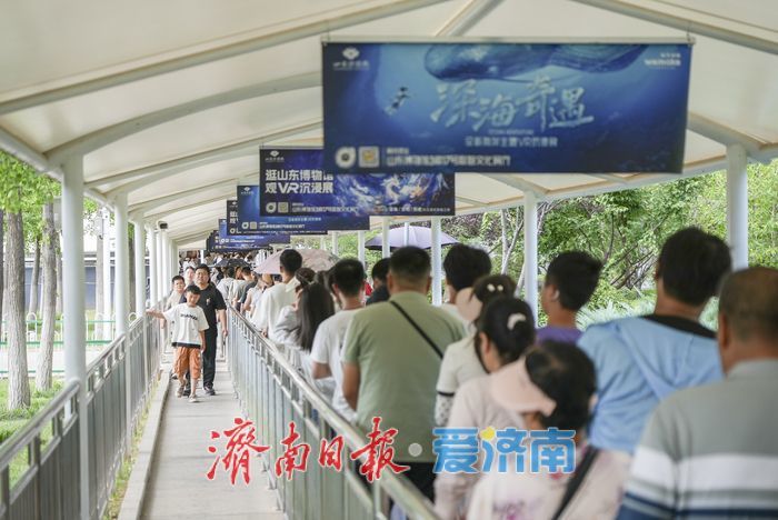 山东博物馆暑期客流攀升，再现
