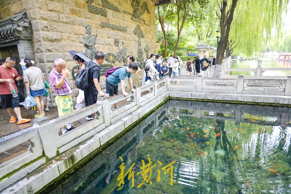 泉涌旺盛带火泉水游，游客争相品尝泉水享清凉