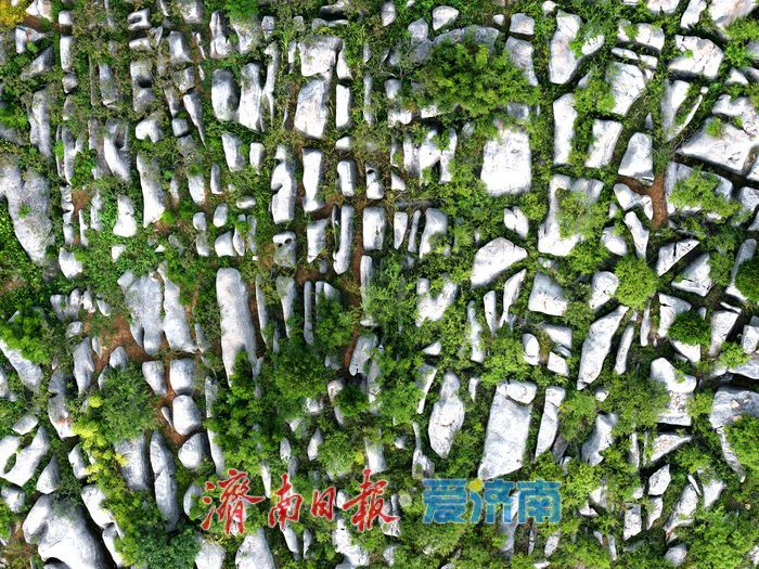 一年四季 泉在济南丨石海地质奇观宛如巨型“地球二维码”