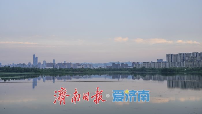 一年四季 泉在济南｜水清岸绿、草木葱茏！初秋华山湖畔诗意浓