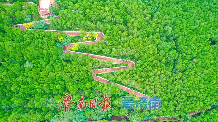 一年四季 泉在济南丨济南万灵山公园：城市中的生态休闲新地标​