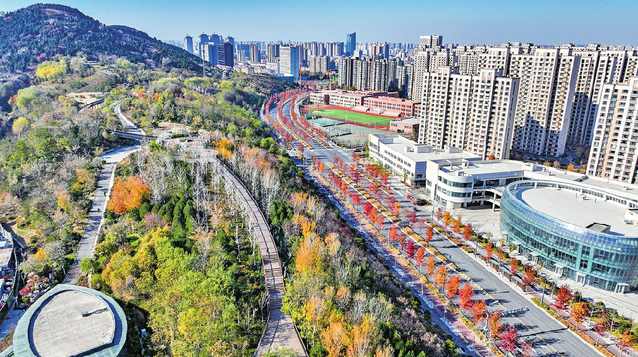 看泉城城市更新的温度与智慧