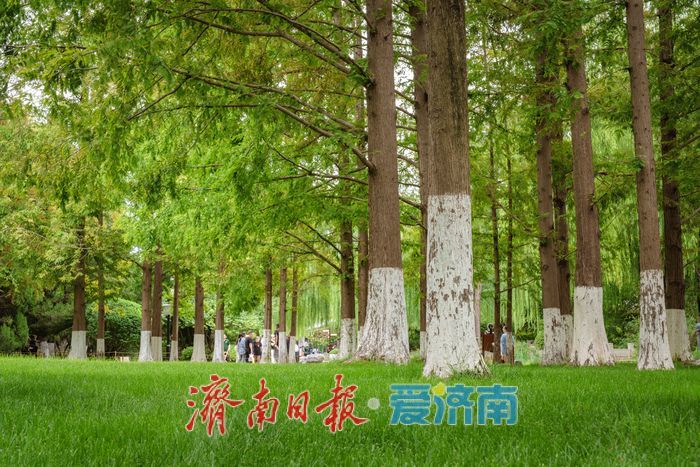 济南五龙潭公园：初秋园林韵，雅致入画来