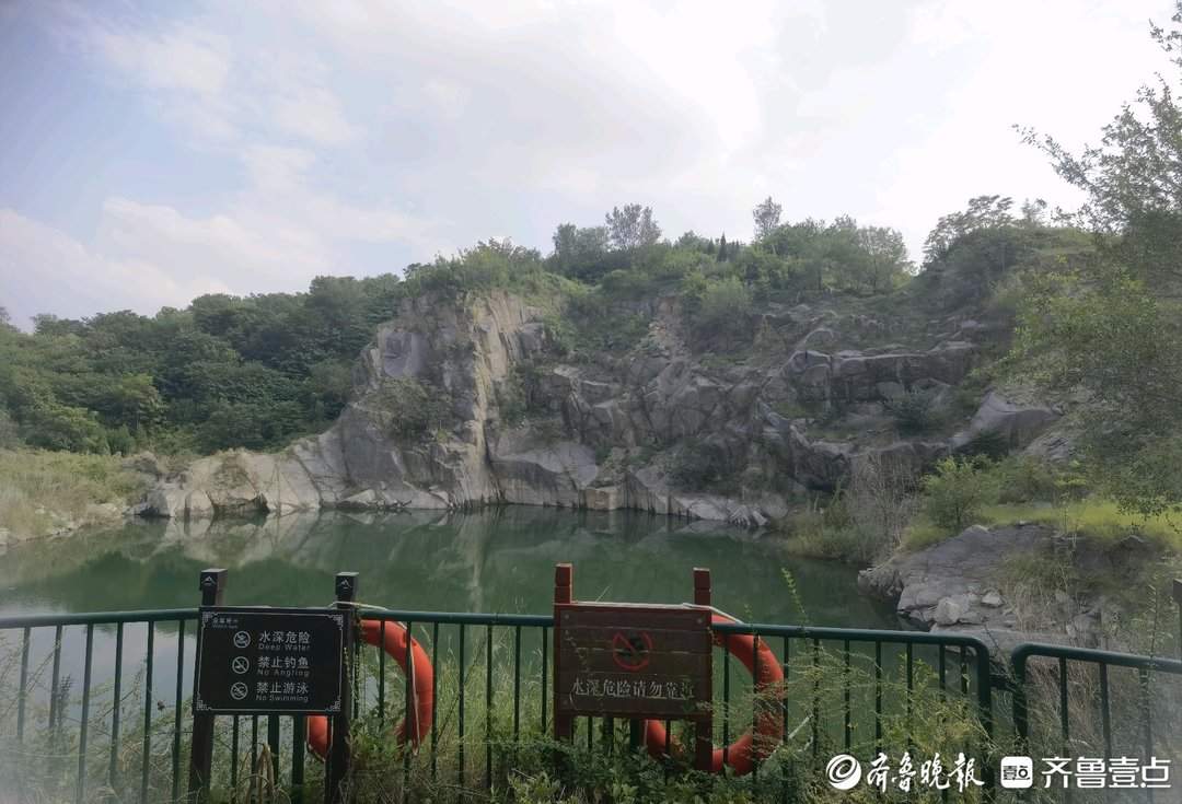 济南卧牛山公园发现“水中大熊猫”桃花水母