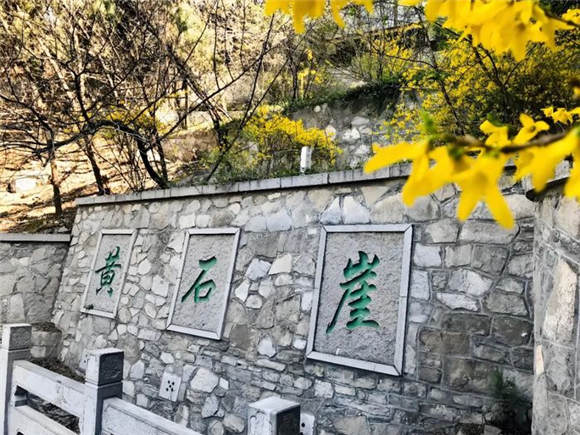 全龄友好、绿色生态、文化融合！揭秘济南千佛山—佛慧山无障碍绿道五大亮点