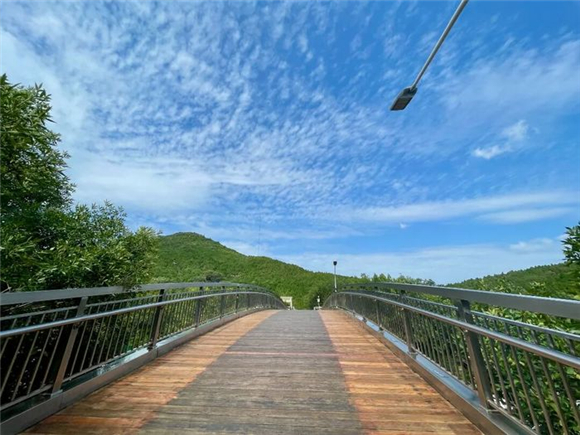 全龄友好、绿色生态、文化融合！揭秘济南千佛山—佛慧山无障碍绿道五大亮点
