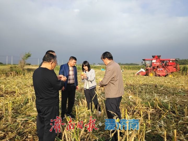 济南应对“三秋”连续降雨,全力保障秋粮归仓秋种顺利