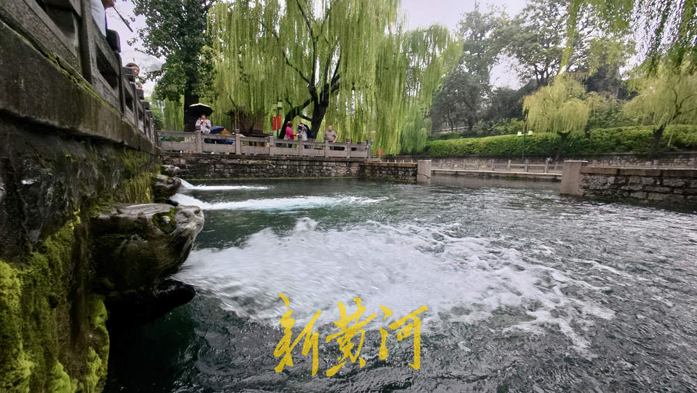 地下水位连涨,泉水漫出泉洞 ,现黑虎泉版“清泉石上流”