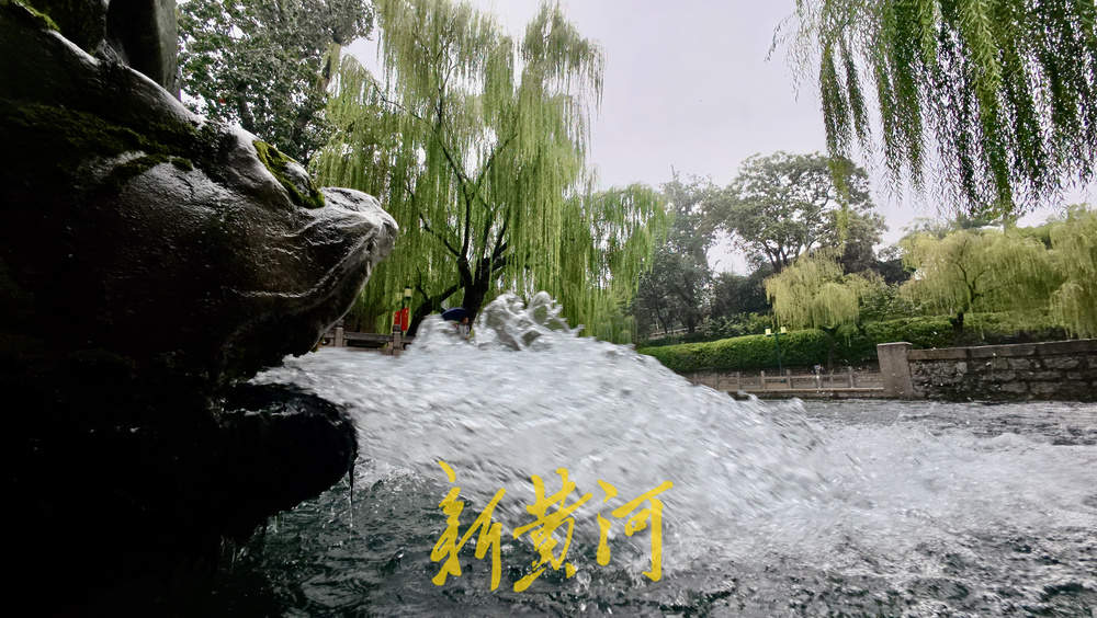 地下水位连涨,泉水漫出泉洞 ,现黑虎泉版“清泉石上流”