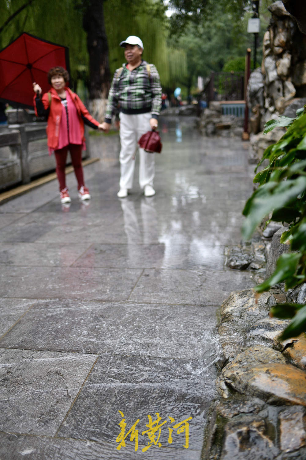地下水位连涨,泉水漫出泉洞 ,现黑虎泉版“清泉石上流”