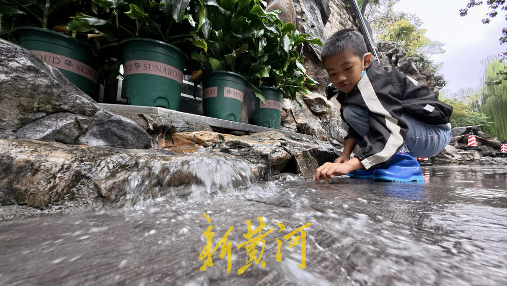 地下水位连涨,泉水漫出泉洞 ,现黑虎泉版“清泉石上流”