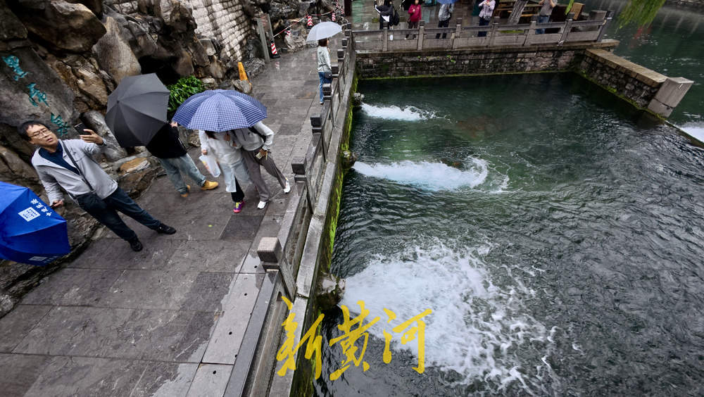地下水位连涨,泉水漫出泉洞 ,现黑虎泉版“清泉石上流”